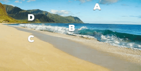 NGSS Phenomena: A wave from the ocean, labeled B is crashing on sand, labeled C. The air is labeled A and in the background we can see hills with trees on them labeled D.